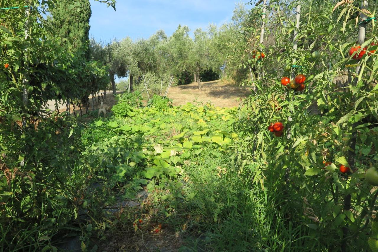 Banks 1 Villa Vezzano Ligure Buitenkant foto