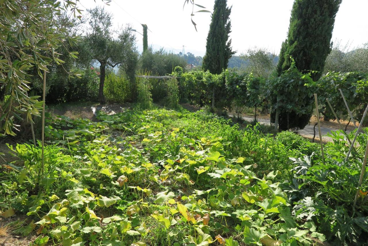 Banks 1 Villa Vezzano Ligure Buitenkant foto